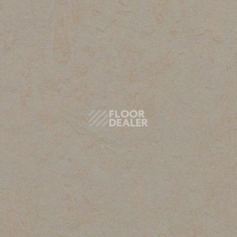 Линолеум Forbo Marmoleum Decibel on Order 370635 beton фото 1 | FLOORDEALER